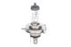 BOSCH Glühlampe, Fernscheinwerfer 1 987 301 001