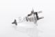 BOSCH Glühlampe, Fernscheinwerfer 1 987 301 012