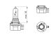 BOSCH Glühlampe, Fernscheinwerfer 1 987 302 088