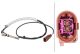 HELLA Sensor, Abgastemperatur 6PT 358 181-521