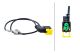 HELLA Sensor, Abgastemperatur 6PT 358 181-951