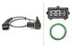 HELLA Sensor, Nockenwellenposition 6PU 009 121-641