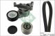Schaeffler INA Keilrippenriemensatz 529 0052 20