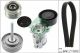 Schaeffler INA Keilrippenriemensatz 529 0090 20