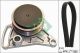 Schaeffler INA Keilrippenriemensatz 529 0099 10