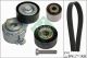 Schaeffler INA Keilrippenriemensatz 529 0107 10