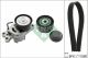 Schaeffler INA Keilrippenriemensatz 529 0109 10