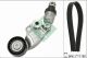 Schaeffler INA Keilrippenriemensatz 529 0119 10