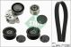 Schaeffler INA Keilrippenriemensatz 529 0115 20