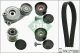 Schaeffler INA Keilrippenriemensatz 529 0050 20
