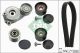 Schaeffler INA Keilrippenriemensatz 529 0050 21