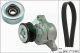 Schaeffler INA Keilrippenriemensatz 529 0175 10