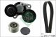 Schaeffler INA Keilrippenriemensatz 529 0206 20