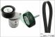 Schaeffler INA Keilrippenriemensatz 529 0219 10