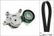 Schaeffler INA Keilrippenriemensatz 529 0298 10