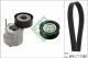 Schaeffler INA Keilrippenriemensatz 529 0303 10