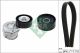 Schaeffler INA Keilrippenriemensatz 529 0312 10