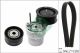 Schaeffler INA Keilrippenriemensatz 529 0313 10