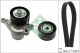 Schaeffler INA Keilrippenriemensatz 529 0317 10