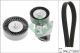 Schaeffler INA Keilrippenriemensatz 529 0334 10