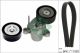 Schaeffler INA Keilrippenriemensatz 529 0338 10