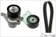 Schaeffler INA Keilrippenriemensatz 529 0356 10