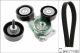 Schaeffler INA Keilrippenriemensatz 529 0376 10