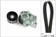 Schaeffler INA Keilrippenriemensatz 529 0378 10