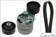 Schaeffler INA Keilrippenriemensatz 529 0388 10