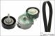 Schaeffler INA Keilrippenriemensatz 529 0395 10