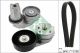 Schaeffler INA Keilrippenriemensatz 529 0422 10
