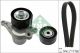 Schaeffler INA Keilrippenriemensatz 529 0423 10