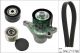 Schaeffler INA Keilrippenriemensatz 529 0423 20