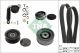 Schaeffler INA Keilrippenriemensatz 529 0424 10