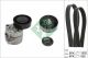 Schaeffler INA Keilrippenriemensatz 529 0439 10