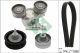Schaeffler INA Keilrippenriemensatz 529 0442 10