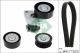 Schaeffler INA Keilrippenriemensatz 529 0444 10
