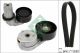 Schaeffler INA Keilrippenriemensatz 529 0445 10