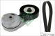 Schaeffler INA Keilrippenriemensatz 529 0460 10