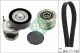 Schaeffler INA Keilrippenriemensatz 529 0466 20