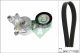 Schaeffler INA Keilrippenriemensatz 529 0468 10