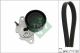 Schaeffler INA Keilrippenriemensatz 529 0476 10