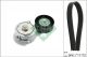 Schaeffler INA Keilrippenriemensatz 529 0478 10