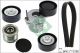 Schaeffler INA Keilrippenriemensatz 529 0479 20