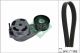 Schaeffler INA Keilrippenriemensatz 529 0482 10