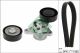 Schaeffler INA Keilrippenriemensatz 529 0487 10