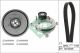 Schaeffler INA Keilrippenriemensatz 529 0488 20