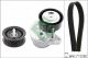 Schaeffler INA Keilrippenriemensatz 529 0494 10