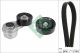 Schaeffler INA Keilrippenriemensatz 529 0497 10