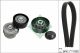 Schaeffler INA Keilrippenriemensatz 529 0498 10